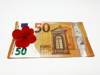 Falschgeld Euro Scheine mit Blüten auf weißem Hintergrund