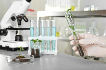 Analyst holding test tube with sprout in laboratory, closeup. Chemical analysis