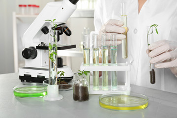 Analyst with test tubes doing chemical analysis in laboratory, closeup