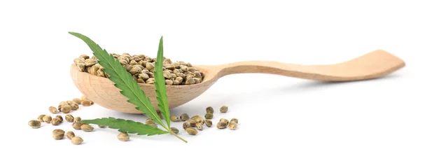 Foto op Plexiglas Spoon with hemp seeds and green leaf on white background © New Africa