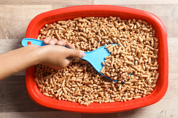 Woman cleaning cat toilet with scoop, top view. Pet care