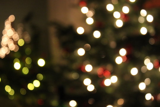 Lights of a christmas tree