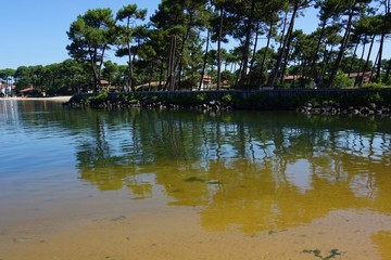 Fototapeta na wymiar lac Soustons