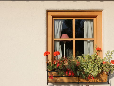 Fenster