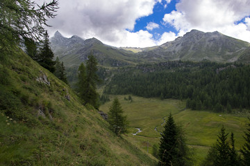 Fototapeta na wymiar beautiful mountain landscape with green pine forest and sad sky