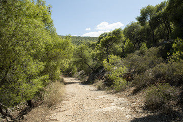 Naturstrasse auf der griechischen Insel "Angistri" bei der Insel "Aegina",  Griechenland