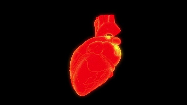Human heart scan. Digital 3d loopable animation on black background. Futuristic element for science or medical interface.