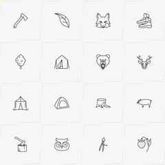 Forest line icon set with bear, boar and camping tent