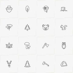 Forest line icon set with squirrel, bear and owl