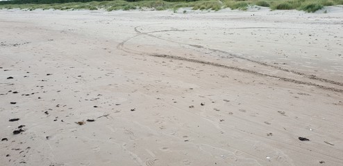 Baltic sea beach in the morning