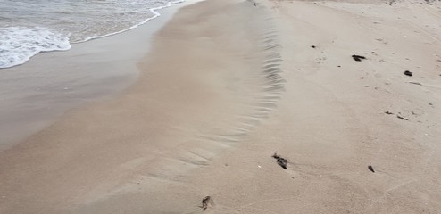 Baltic sea beach in the morning