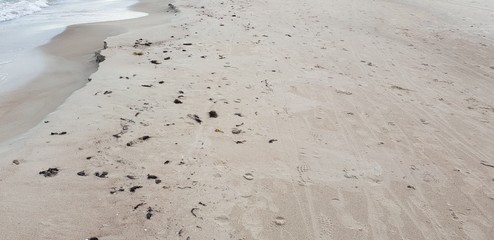 Baltic sea beach in the morning