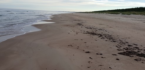 Baltic sea beach in the morning