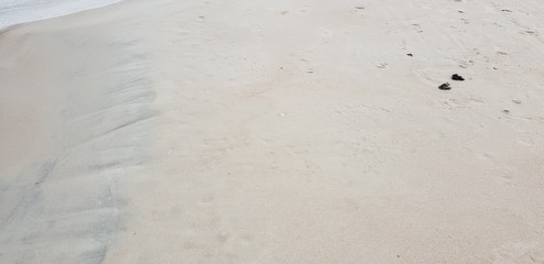 Sand of the baltic sea beach