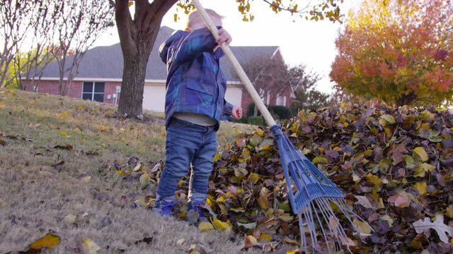 Toddler picks up a rake, then drops it on his head