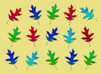 Fototapeta na wymiar Colorful autumn background. Maple leaves of red, blue, green and light blue on a yellow background.
