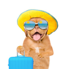 Obraz na płótnie Canvas Happy puppy in summer hat and with sunglasses holds suitcase. isolated on white background