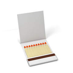 Paper book of matches mockup