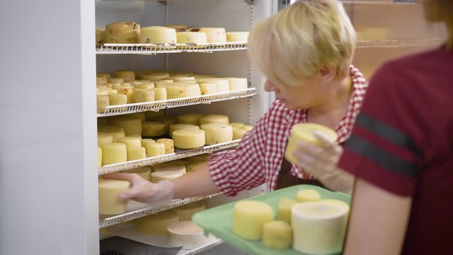 Female worker putting cooked cheese heads in huge industrial fridge on a cheesemaking factory