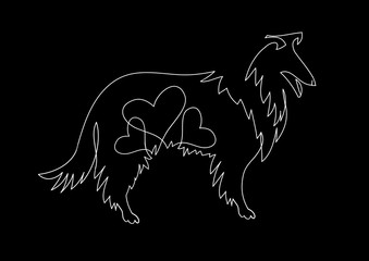 Dog . Collie  illustration drawn freehand.