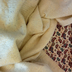 Blanket Folds on Paisley Sheet