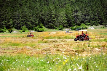 Turning over the harvest