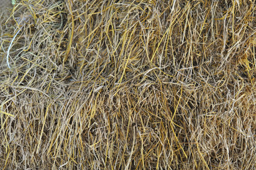straw texture background