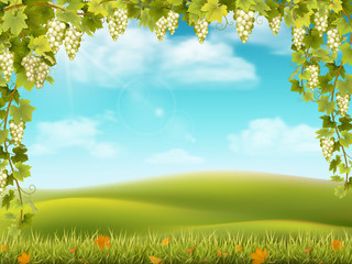 Bunches of grapes like frame on the background of the rural landscape with valley, hills and sky. Vector illustration about the harvest and winemaking.
