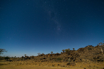 Milky way over Quiver tree