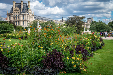 Fototapeta premium fleurs jardin tuileries paris