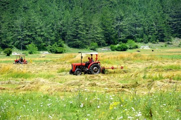 Turning over the harvest