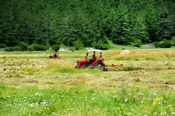 Turning over the harvest