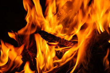 Fire, an important element of nature