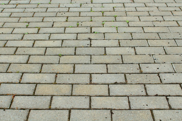 Sidewalk paving stones close-up. Horizontal view. Background. Texture.