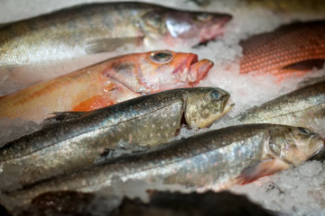 Fresh fish in fish market