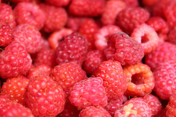 Fresh berry of raspberries. Close-up. Background. Texture.