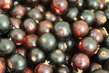 Freshly collected black currant. Close-up. Background. Texture.