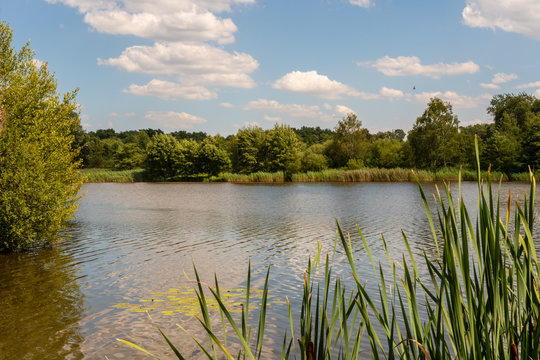 Le marais de la Ferme de Heide, Ham-sous-Varsberg, Moselle, Grand Est, France