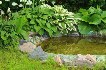 A small homemade decorative pond in the garden. Landscape. Background.