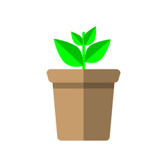 isolated pot with a plant in a flat design