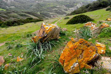 Cami de cavalls, Menorca