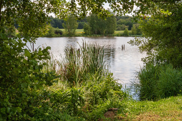 l'étang de la Heide, Ham-sous-Varsberg, Moselle, Grand Est, France