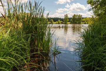Vue depuis le sentier de découverte du marais de la Ferme de Heide, Ham-sous-Varsberg, Moselle,...