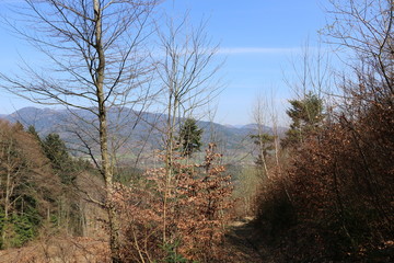 Point de vue montagne