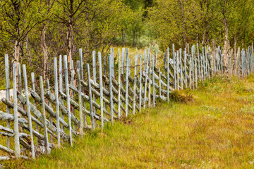 Fototapeta na wymiar Wooden fence in Northern Sweden