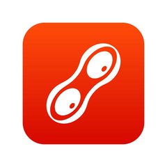 Peanut pods icon digital red for any design isolated on white vector illustration