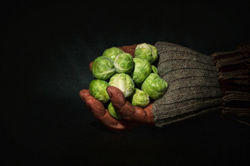 Hand holding fresh brussels sprouts