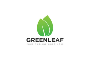 leaf logo and icon Vector design Template
