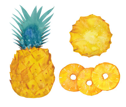 watercolor pineapple set