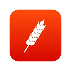Dried wheat ear icon digital red for any design isolated on white vector illustration
